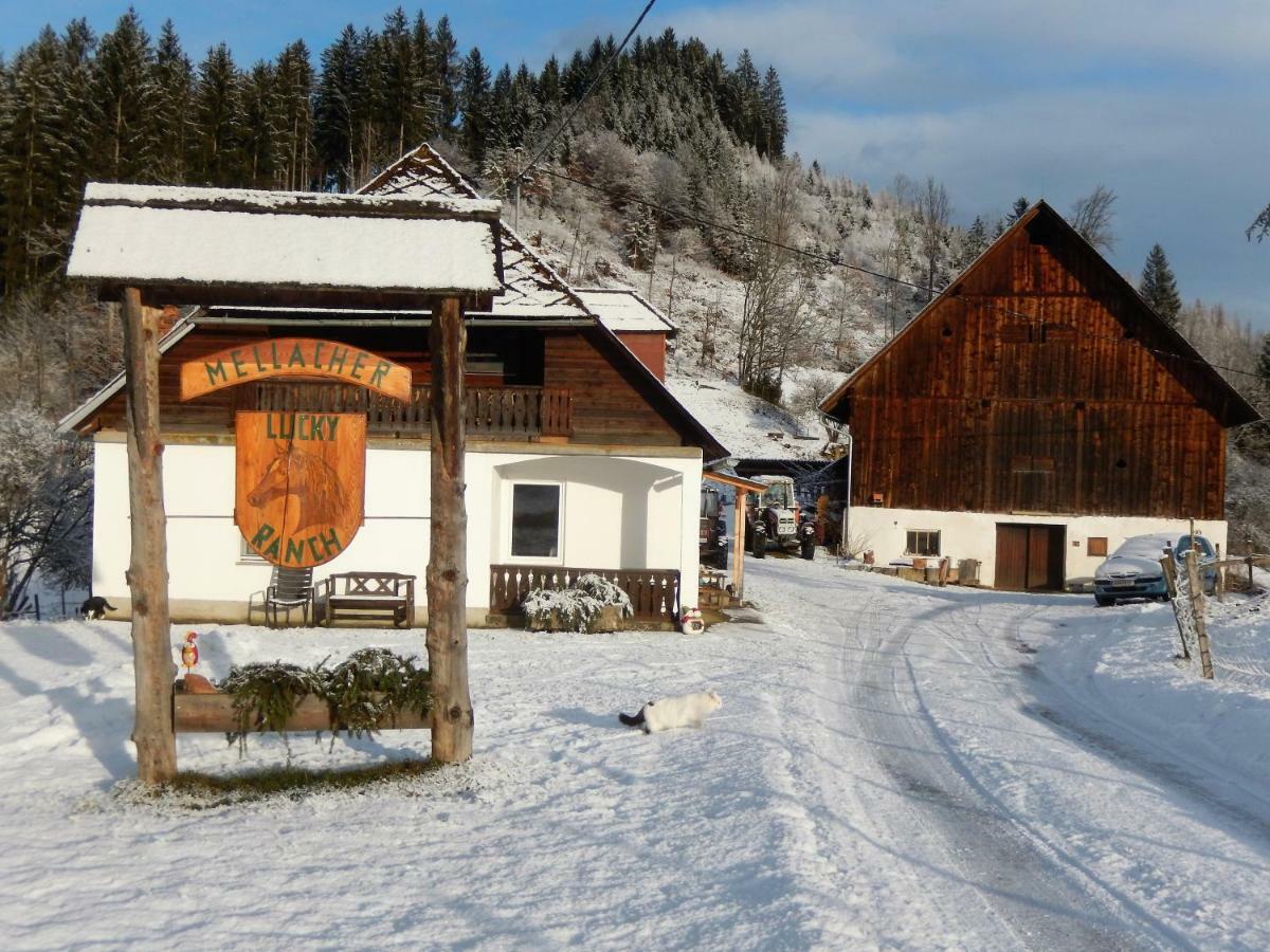 Ferienhaus Am Reitbauernhof Luckyranch Mellach  Esterno foto